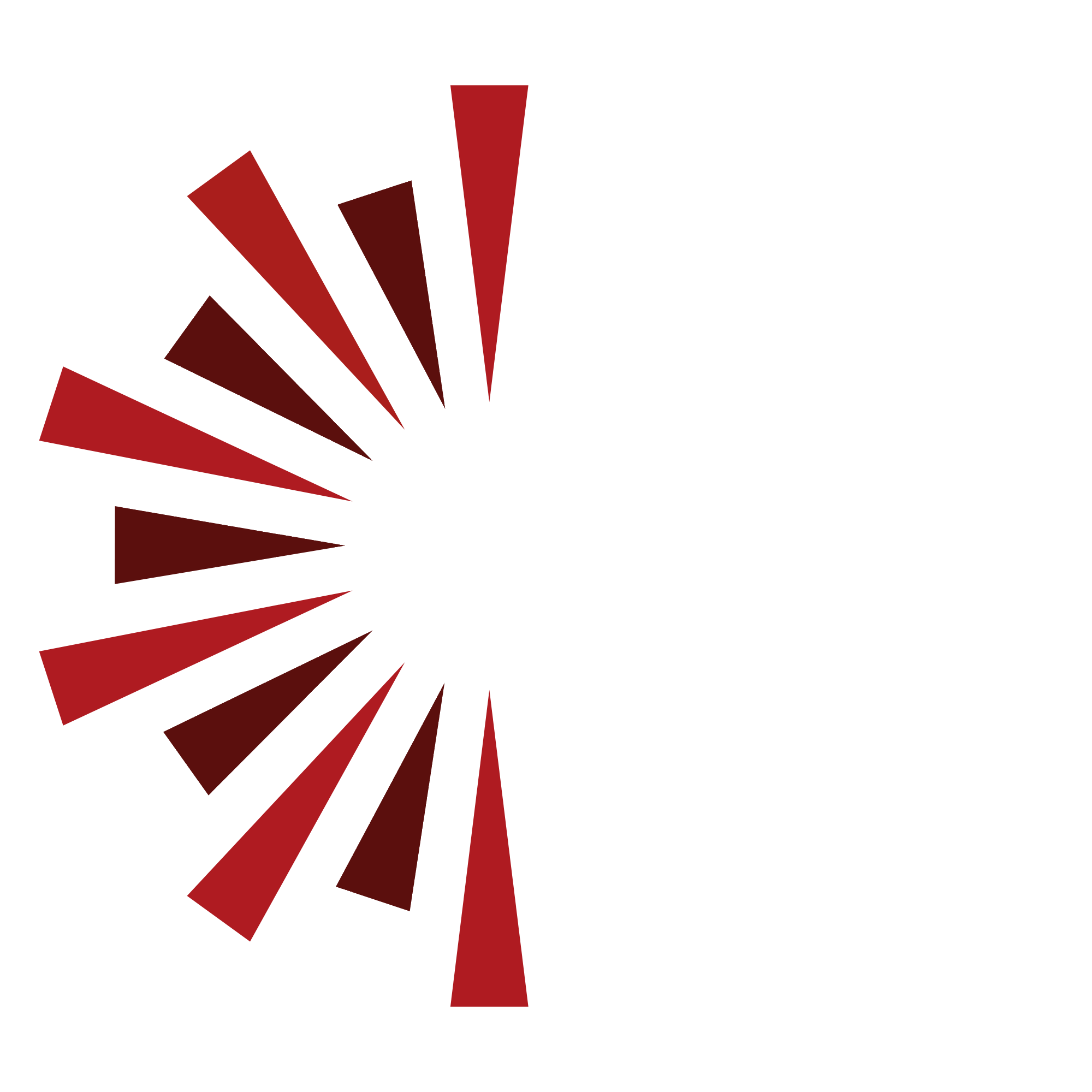 Logo CELA Centre for Equitable Library Access